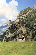 La Chiesetta Di Promosio